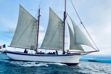 Half-day sailing & swimming trip in the Frioul Calanques - Bonjour Fun
