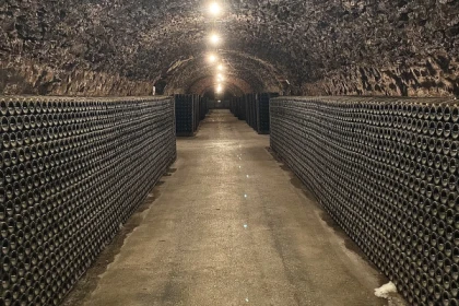 Demi-journée en Champagne au départ d'Epernay - app.name