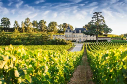 From Bordeaux: A full day in Saint-Emilion private tour. - Bonjour Fun