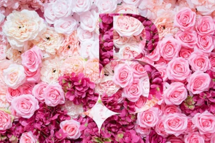 Dîner musical au Casino pour la Saint-Valentin - Saint-Raphaël - app.name