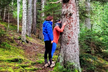 Enterrement de Vie de Jeune Fille - app.name