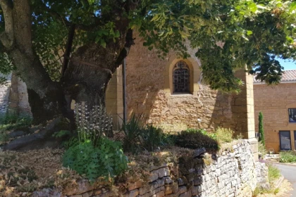 ENTRE BEAUJOLAIS VERT ET PIERRES DOREES - app.name