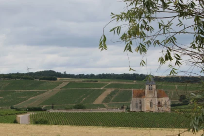 Escapade and tasting in the Chablis Vineyard - Bonjour Fun