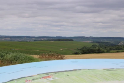 Escapade and tasting in the Chablis Vineyard - Bonjour Fun