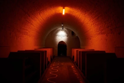 "Essentiel" Guided Tour & Tasting - Bonjour Fun