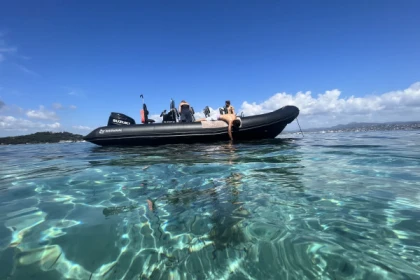 Excursion en mer 2h30 - app.name