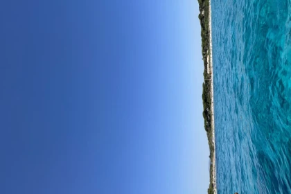 Excursion en mer 2h30 - app.name