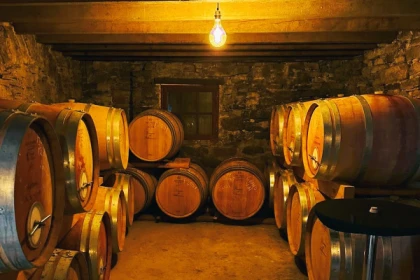 Excursion Pic Saint Loup - Demi Journée Wine Tour - app.name