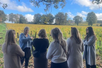 Saint-Émilion Wine Tour: Winery & Medieval Village - Bonjour Fun