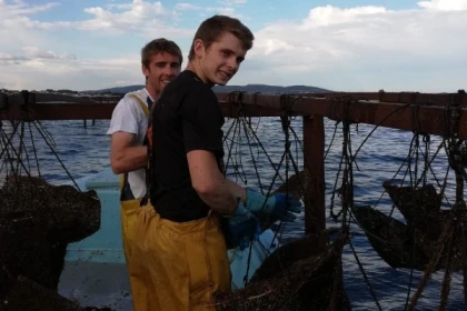 Excursion Sète - Full Day Walking tour of Sète, Oysters and Wine - Bonjour Fun