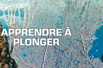 Formation Débutant plongée Niveau 1 - Fréjus - app.name