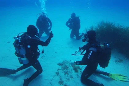 Level 2 training - PA 20/ PE 40 - Bonjour Fun