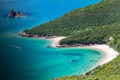 Full Day Guided Tour to Arrábida - app.name