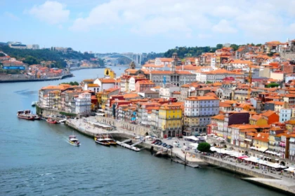 Full Day Guided Tour to Porto - app.name