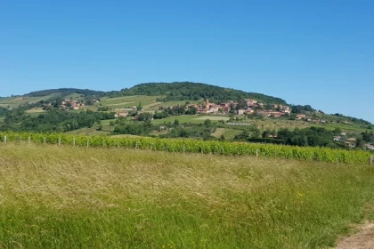 GRANDEUR NATURE - app.name