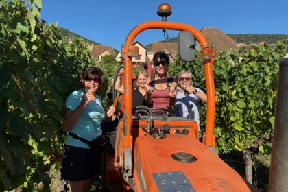 Grape-picker for a day - Bonjour Fun