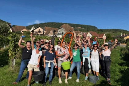 Grape-picker for a day - Bonjour Fun