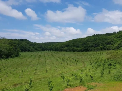 Groupes associatifs et autres groupes - app.name