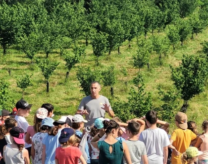 Groupes scolaires - app.name