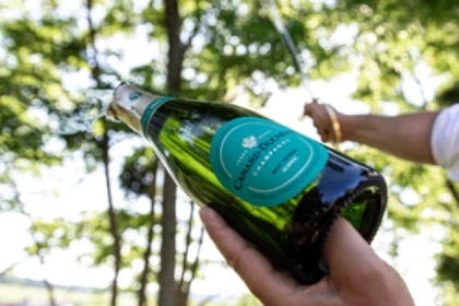 Guided Tour & Sabrage Experience - app.name