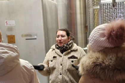 Guided winery tour in Alsace - local wine tasting - app.name