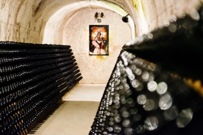 "Iconic" Guided Tour & Tasting - Bonjour Fun
