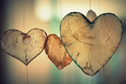 Immersive cellar tour and Valentine's evening - Bonjour Fun