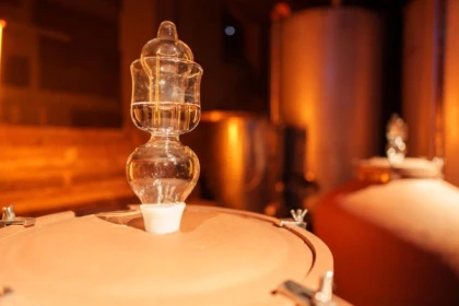 Immersive cellar tour and Valentine's evening - Bonjour Fun