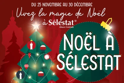 Jeton pour la patinoire - app.name