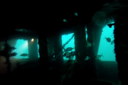 Journée 2 plongées Epave Roche St Tropez (plongeur expert) - app.name