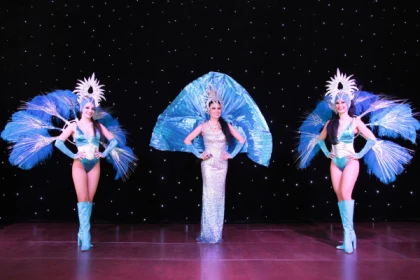 Journée Cabaret au Domaine du Billardier - app.name