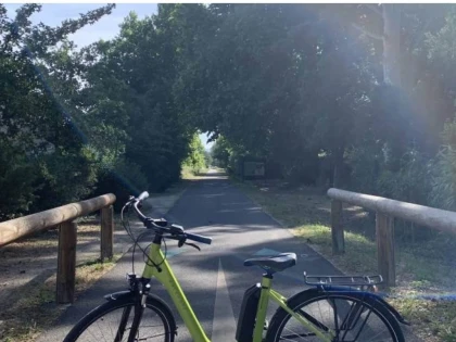 Journée - Day - app.name