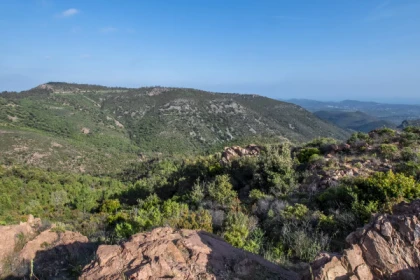 Electrically assisted mountain bike tour - Special groups - Bonjour Fun