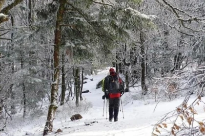 Journée raquettes privative au Rouge Gazon - app.name