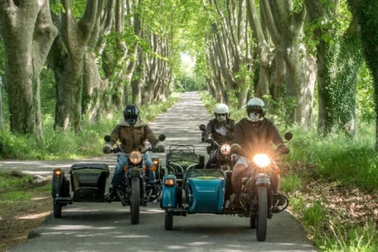 Journée Wine-Tour : Visite des lavandes (juin à août) - app.name