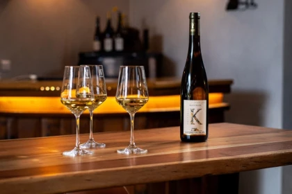Meet our wines with an in-depth tasting. - Bonjour Fun