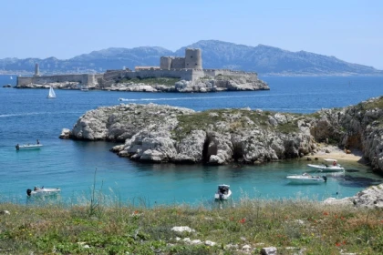 2-hour ecological tour: the biodiversity of Marseille's islands - Bonjour Fun