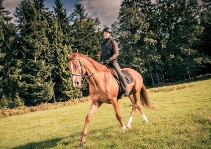 La Mandallaz - app.name