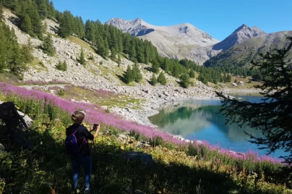 La Vie des marmottes dans le Mercantour - app.name