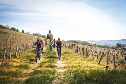 LA VOIE DU TACOT - app.name