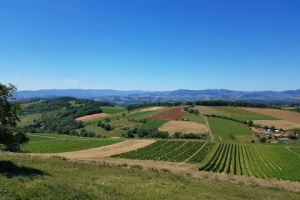 LA VOIE DU TACOT - app.name