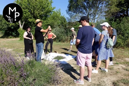 Lavender and other fragrant plants guided tour (ENGLISH & FRENCH  TOUR  + audioguides ESP/ITA/PORT/GER) - app.name