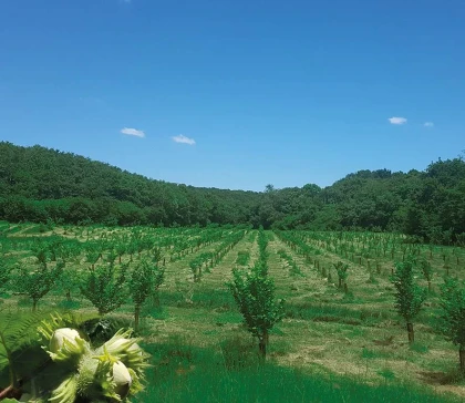 Le 2 parcours - app.name