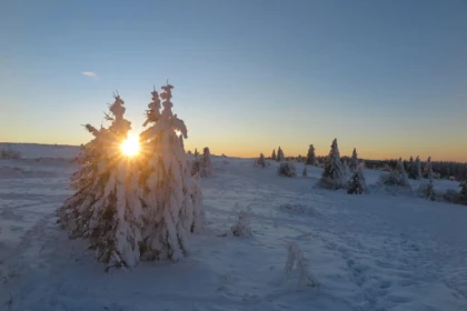 Le Champ du Feu en raquettes à neige - app.name