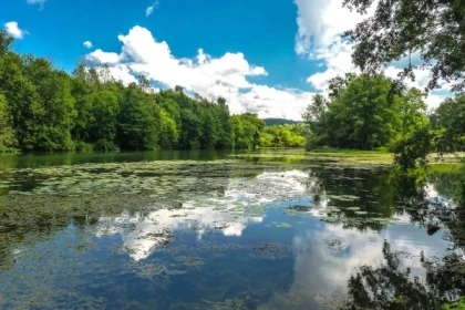 Le marais de Saône - app.name