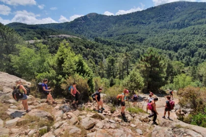 LE PLONGEON CORSE  (Séjour en liberté) - app.name