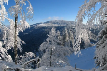 Le sommet du Brézouard - raquettes à neige - app.name