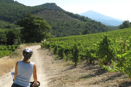 Le Vignoble à Vélo (assistance éléctrique) - app.name