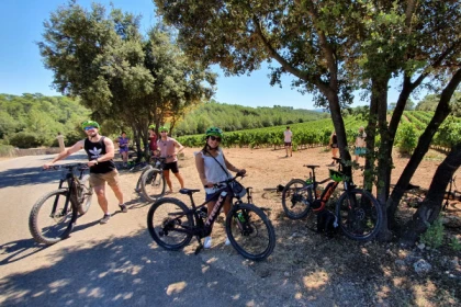 Le Vignoble à Vélo (assistance éléctrique) - app.name