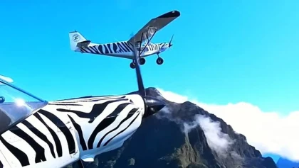 Les cirques - app.name